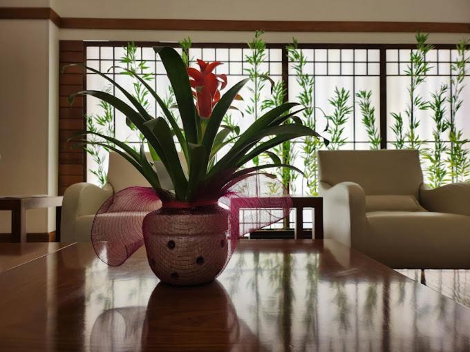 Luz Plaza Sao Paulo Hotel ภายนอก รูปภาพ